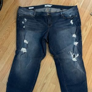 Torrid Jeans